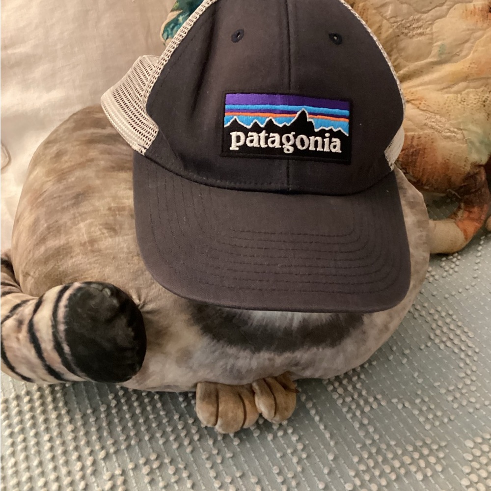 Patagonia Cap